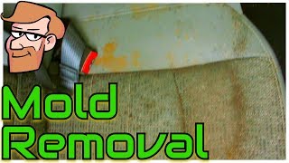 How to Remove Surface Mold & Mildew from Car Seats • Cars Simplified