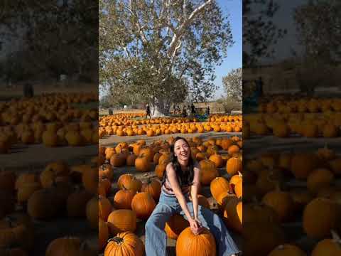 <strong>Pumpkin</strong> patch 🎃 가을이 왔어요! #<strong>shorts</strong>