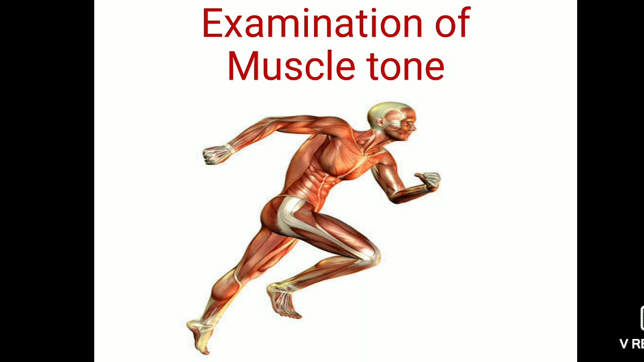 Muscle Tone Examination YouTube Muscle Tone Examination YouTube