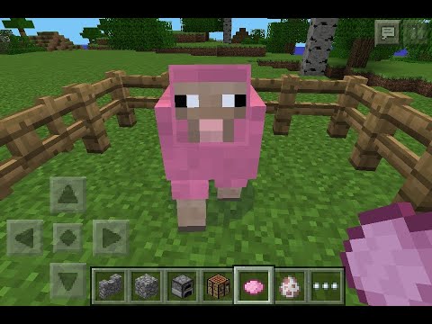 THE PINK SHEEP