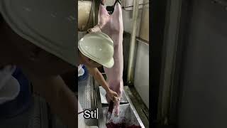 Dumaguete City Slaughter House Hog Operation 
