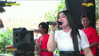 Download Lagu PERIH NURUL NATASYA SCORPION ( Yang ngeTrend ) Bpk Abdul Muin Ibu Tusniah Senin 15 Desember 2025 MP3