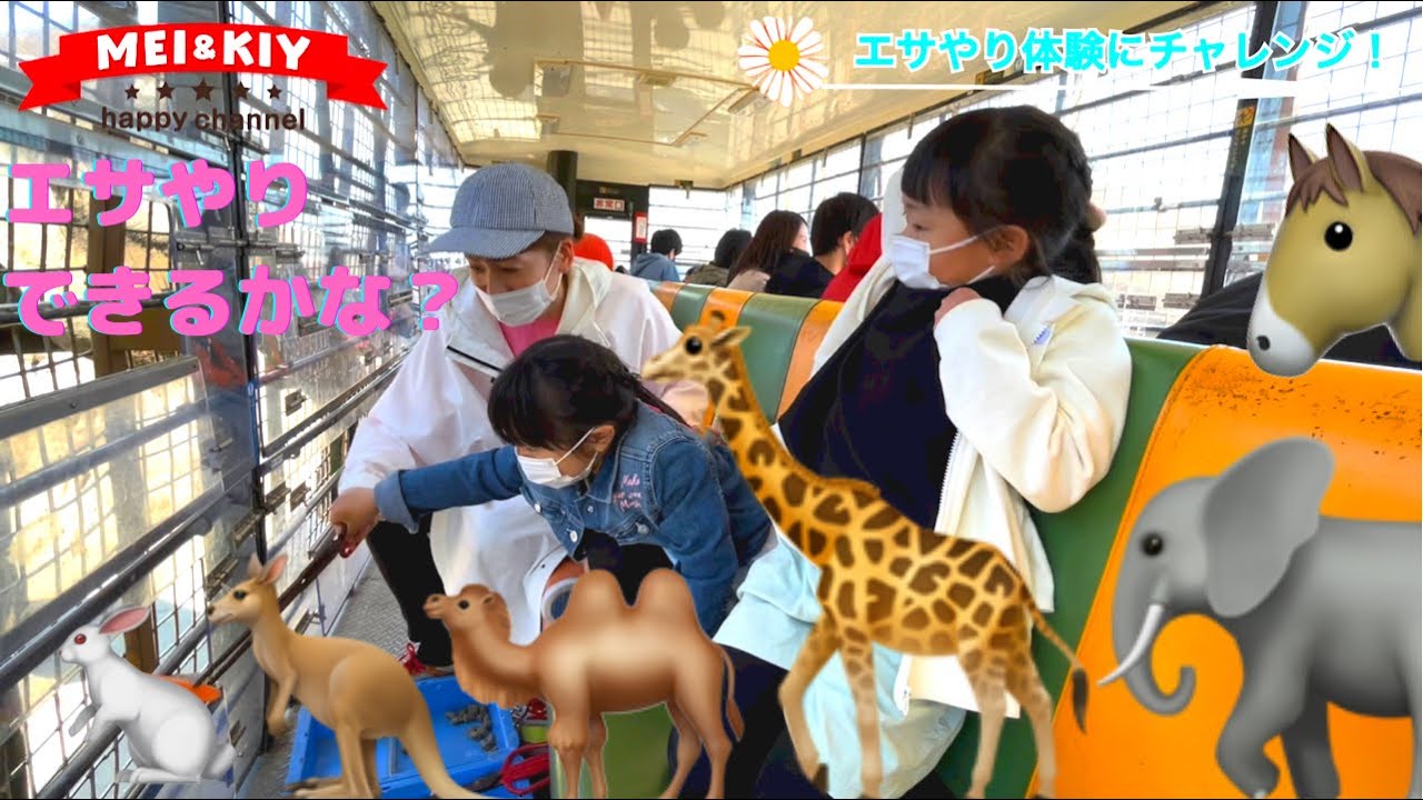 【アフリカンサファリ】家族でお出かけ♪大分のアフリカンサファリでエサやり体験！！MEI&KIY happychannel#7
