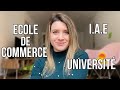 Université, IAE, École de commerce : Que choisir ? Avantages, Inconvénients