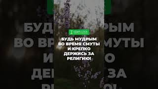 Будь мудрым во время смуты и крепко держись за религию! | Абу Яхья Крымский