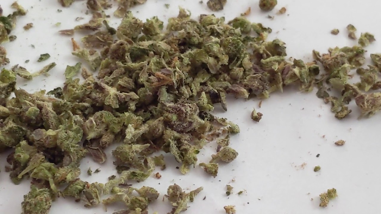 Pearl Pharma Pre Roll Gut