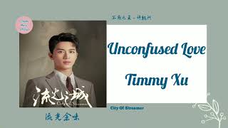 [Lyrics] Timmy Xu (许魏洲) – Unconfused Love (不惑之爱) City Of Streamer 流光余味 OST