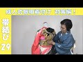 着付師さん応援！振袖の帯結び―２９｜和美師（わびし）養成講座