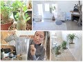 Vlog | Coffee Frappe Recipe | Houseplant Decor