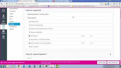Checking Submissions to Canvas
