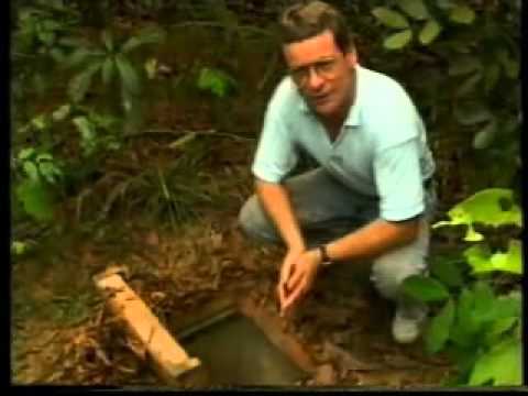 Tunnel Rats, Vietnam - YouTube