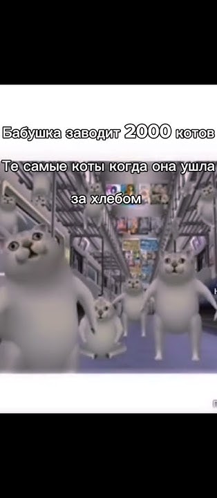 2000 котов #мем - YouTube