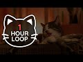  asmr cat grooming 83 1 hour loop dark version