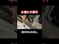 極秘！秘密の野池に魚を放流Part31 #熊本 #shorts #short