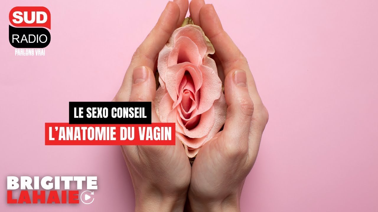 Sexo conseil - L'anatomie du vagin