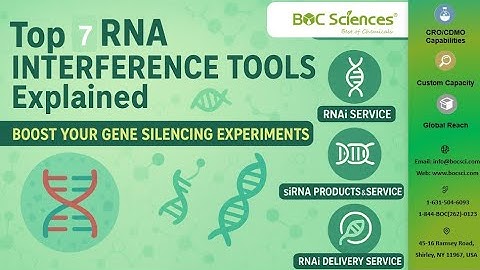 Top 7 Tools for RNA Interference and Functional Validation — BOC Sciences