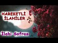 Tev.e gel  hareketli lahiler  lahi sofras