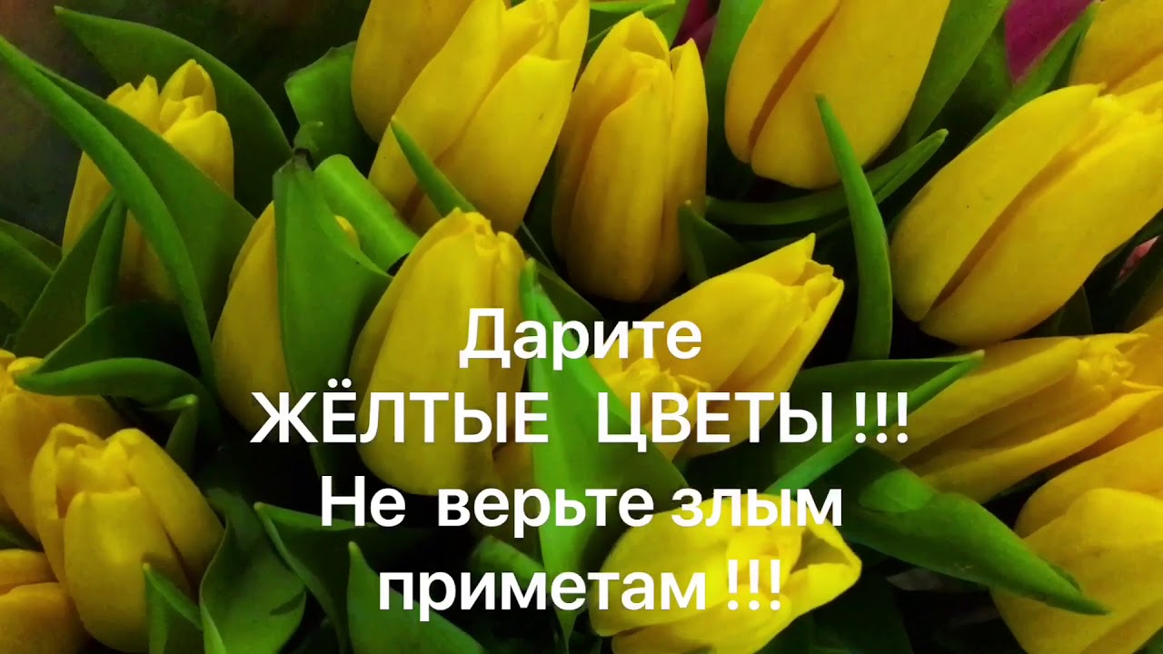 подарок женщине. стихи о желтой розе. жёлтые тюльпаны к чему дарят. нельзя дарить срезанные цветы. почему нельзя дарить желтые цветы девушке.