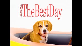 moumoon / The Best Day (Official Music Video)