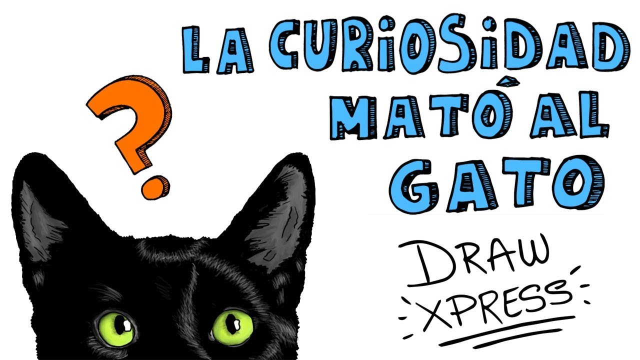 La curiosidad mato al gato