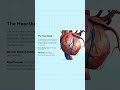 दिल कैसे काम करता है? Human Heart Working in 60 Seconds | #shorts