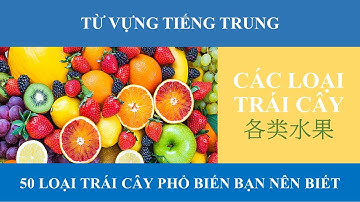 【PINYIN】TỪ VỰNG TIẾNG TRUNG VỀ TRÁI CÂY【Fruits in Mandarin Chinese】_T83
