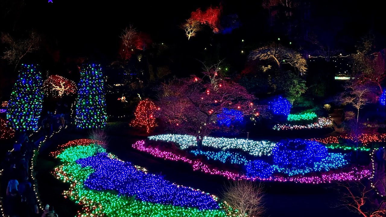 Wandering Through the Enchanting Christmas Lights of the Butchart Gardens 