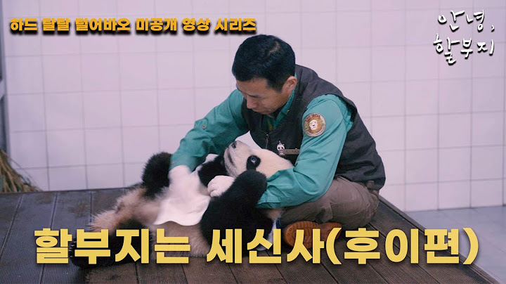 [안녕,할부지] 하드 탈탈 털어바오 미공개 영상 시리즈 12편 - 할부지는 세신사 (후이 편)