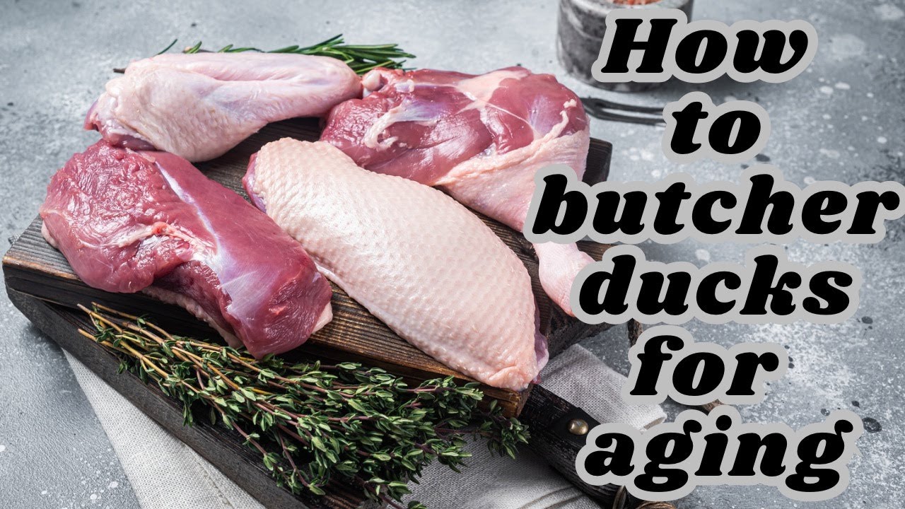 How we butcher ducks for aging