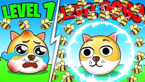 Save the Dog VS Save the Doge - All Level Gameplay Android iOS