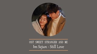 임세준 (Im Se Jun) – Still, Love [Han|Rom|Eng] Lyrics Sweet Stranger and Me OST Part 4