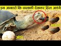 देखिये जान बचाने के लिए ये चालाक जानवर क्या करते है | Fatal ways animal protect themselves