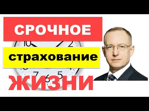 Срочное страхование жизни – обзор. Как работает страховка жизни на срок. Плюсы, минусы и цена полиса