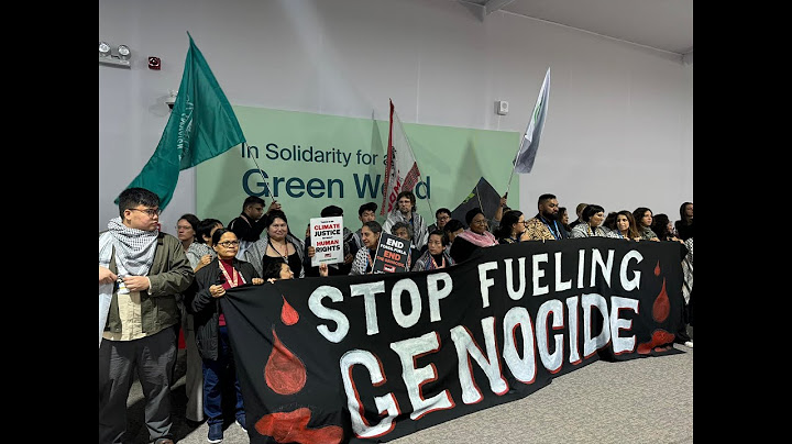 COP29-da ilk etiraz aksiyası - "Fələstinə azadlıq!"