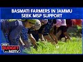 Budget 2026 | Union Budget 2026: Basmati Farmers In Jammu Seek MSP Support