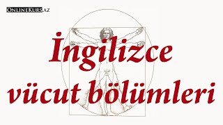 İngilizce Vücut Leri Resimi