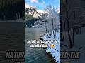 Nature just dropped the ultimate view… 😍 #nature #naturelovers #youtubeshorts #love