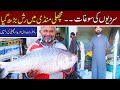 Fish Market |#fish |#fishfry |#food |#foodei |#streetfood |#fishmarket |#market |#shop |#fishrecipe
