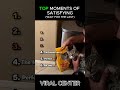 Ranking Moments Of Satisfying #ranking #compilation #funny