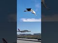 Es un avion no es un águila 🦅  #peliculas #trailer #film #plantadec #dance #decretoprosperidad .
