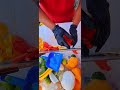 prEPARANdo un vaso de sandia piña mango con tajin y limoncito#sigueme #frutas #videoshort #fruit
