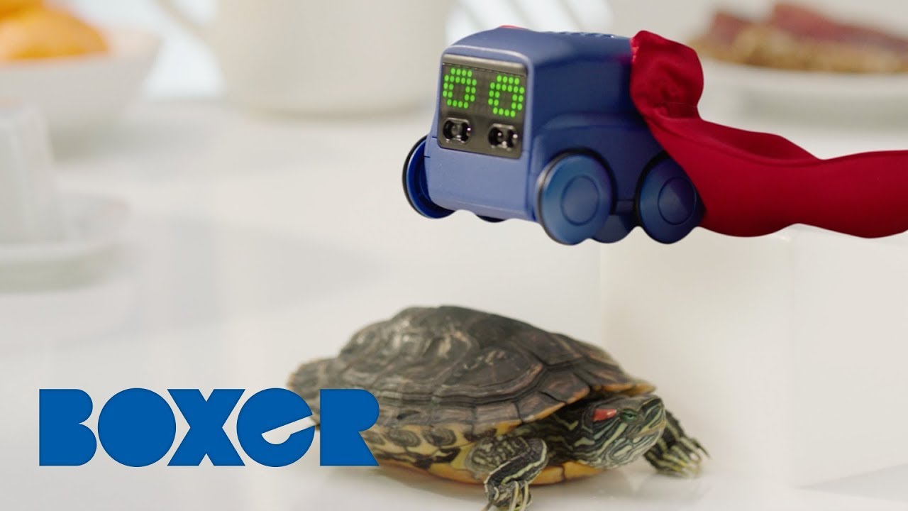 Boxer 🤖 | SUPERHERO