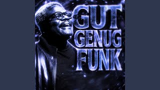 GUT GENUG FUNK (Slowed) - RHDXS