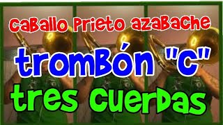 Video thumbnail of "CABALLO PRIETO AZABACHE TROMBÓN "C""