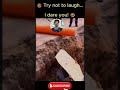 Challenge: Keep a Straight Face… Good Luck!" 🧠😆 30 5 3