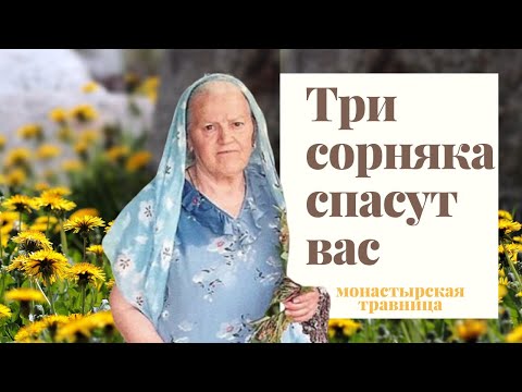 Монастырская Травница | Три злостных сорняка, которые спасут вас