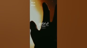 ( وقالوا لجلودهم لم شهدتم علينا ) القارئ ابراهيم شرف