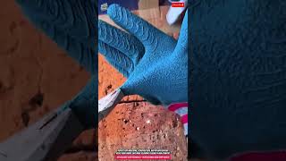 Cut-Resistant Glove Technology Protects Hands From Sharp Objects