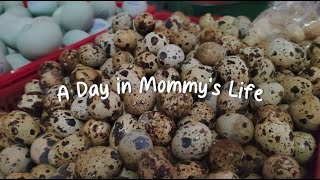 A Day in Mommy’s Life | Groceries, Food Prepping, etc.