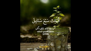 🌾كمثل حبة🌾💰 سورة البقرة:٢٦١✨ أحمد خضر 🌿 Surah Al Baqarah:261🍃 Ahmed Khedr